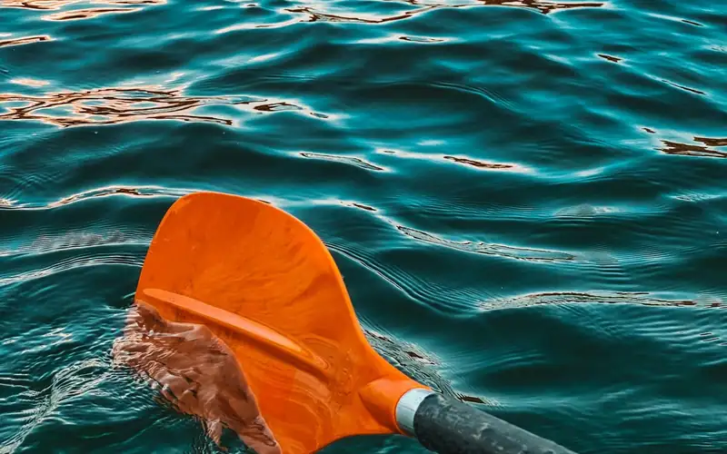 Oranje peddelblad trekt door helder blauwgroen water