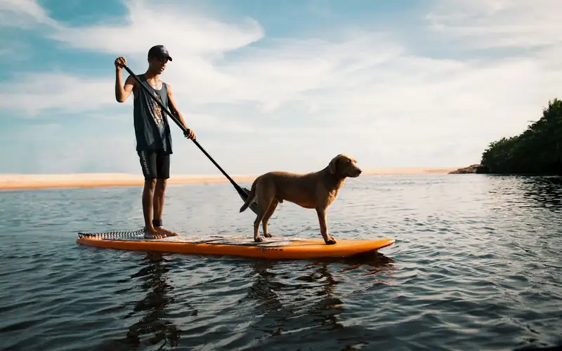 Man met peddel en een bruine hond samen op een oranje SUP board